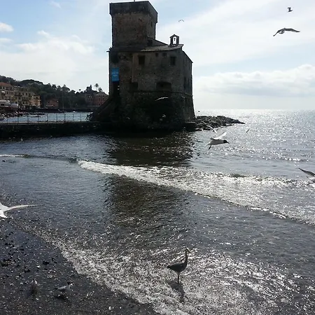 Il Nido *